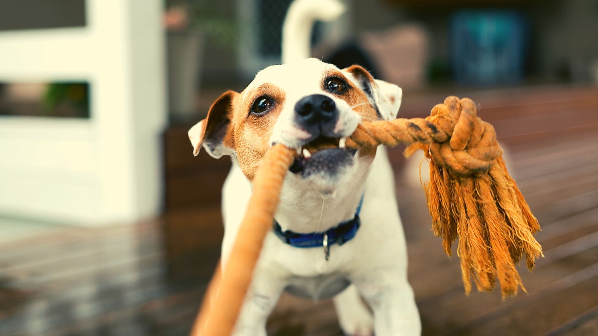 9 Reasons We Sure As Heck Aren’t Going Anywhere
